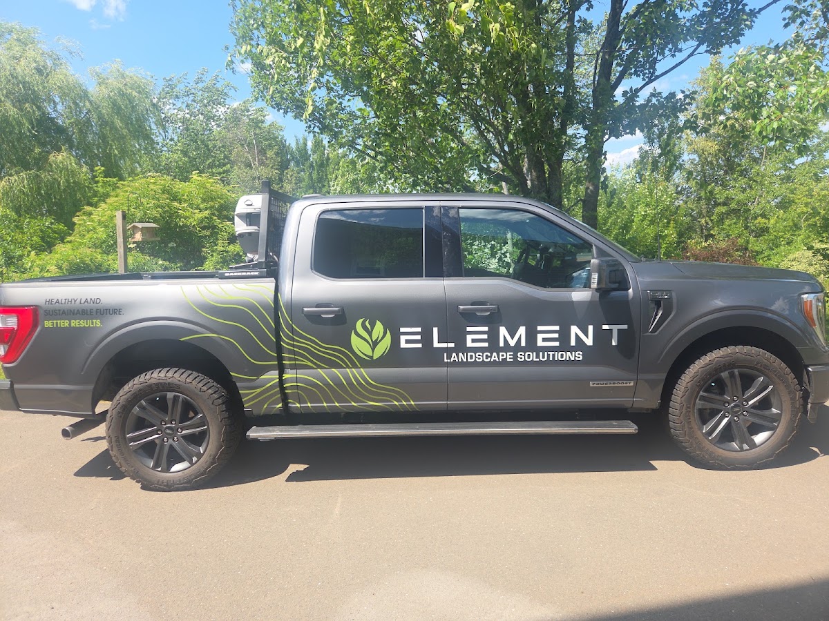 Vehicle wrap work from Auto Trim Design Of Southeast NB