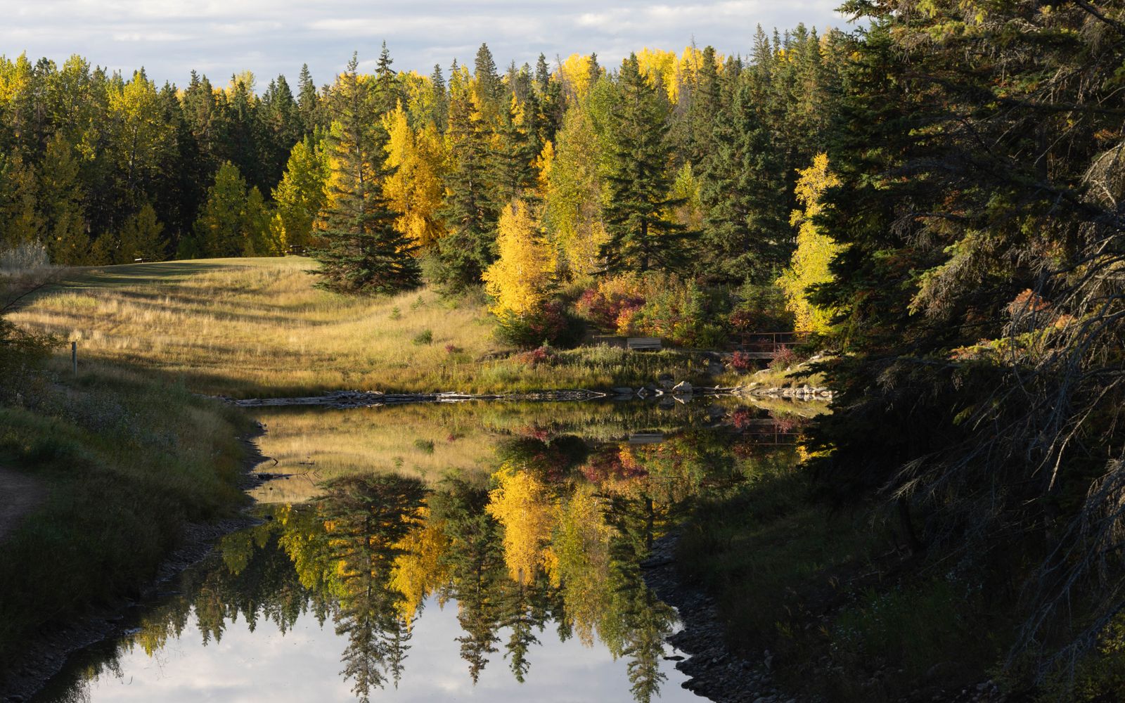 Autumn foliage reflected in Mirror Lake in Red Deer